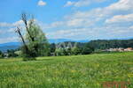 Zemljišče, Celje, prodaja, 4000m2, 249000e, id328