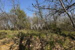 Zemljišče, Koper, prodaja, 3050m2, 38000EUR, id3154