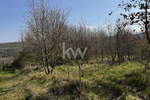 Zemljišče, Koper, prodaja, 3050m2, 38000EUR, id3154