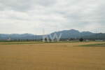 Poslovni prostor / Lokal, Kranj, izdavanje, 54m2, 459e, id336