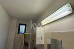 Poslovni prostor / Lokal, Koper, izdavanje, 354m2, 1200e, id337