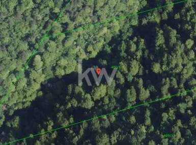 Zemljišče, Laško, prodaja, 73765m2, 60000EUR, id3211