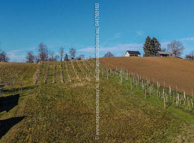 Zemljišče, Gornja Radgona, prodaja, 2632m2, 15000EUR, id3246