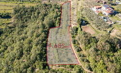 Zemljišče, Piran, prodaja, 4685m2, 60000EUR, id3348