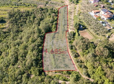 Zemljišče, Piran, prodaja, 4685m2, 60000EUR, id3348