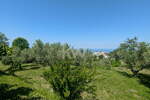 Zemljišče, Izola, prodaja, 808m2, 350000EUR, id3361
