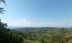 Zemljišče, Piran, prodaja, 4614m2, 65000EUR, id3418