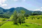 Zemljišče, Celje, prodaja, 1527m2, 66EUR, id249