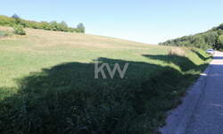 Zemljišče, Gornja Radgona, prodaja, 3781m2, 135400EUR, id3563