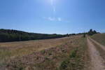 Zemljišče, Šalovci, prodaja, 19247m2, 44EUR, id3676