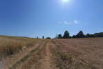 Zemljišče, Šalovci, prodaja, 10219m2, 26EUR, id3677