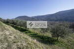 Zemljišče, Koper, prodaja, 12490m2, 24980EUR, id3797