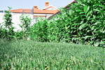 4-sobno stanovanje, Izola, prodaja, 155m2, 554000EUR, id3805