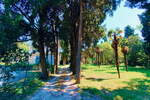 Hiša, Piran, prodaja, 317m2, 2966000EUR, id3825