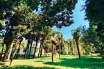 Hiša, Piran, prodaja, 317m2, 2966000EUR, id3825