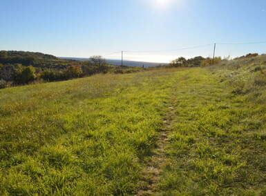 Zemljišče, Izola, prodaja, 5304m2, 140000EUR, id3831