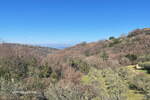 Hiša, Koper, prodaja, 150m2, 340000EUR, id3842