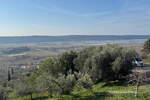 Hiša, Piran, prodaja, 425m2, 1500000EUR, id3846