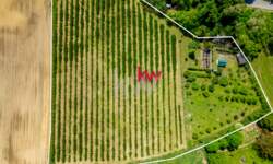 Zemljišče, Slovenska Bistrica, prodaja, 12324m2, 120000EUR, id59