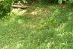 Hiša, Sežana, prodaja, 1m2, 230000EUR, id455
