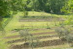 Hiša, Koper, prodaja, 19m2, 460000EUR, id456