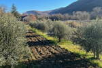 Hiša, Koper, prodaja, 19m2, 460000EUR, id456