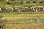 Hiša, Koper, prodaja, 19m2, 460000EUR, id456