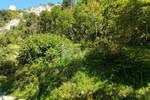 Zemljišče, Koper, prodaja, 464m2, 67000e, id61