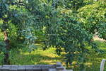 Poslovni prostor / Lokal, Murska Sobota, prodaja, 258m2, 245000EUR, id522