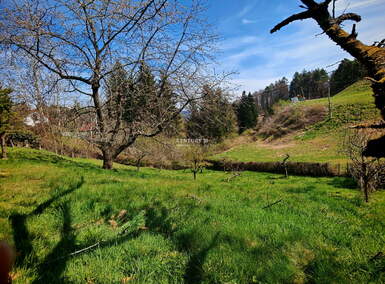 Zemljišče, Maribor, prodaja, 1m2, 35000EUR, id647