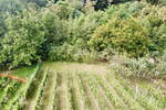 Zemljišče, Radenci, prodaja, 768m2, 32000EUR, id854