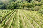 Zemljišče, Radenci, prodaja, 768m2, 32000EUR, id854