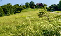 Hiša, Sevnica, prodaja, 1m2, 40000EUR, id870