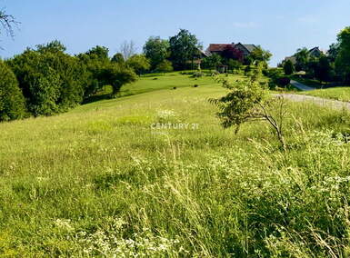 Hiša, Sevnica, prodaja, 1m2, 40000EUR, id870