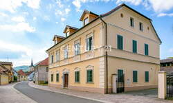Poslovni prostor / Lokal, Kostanjevica na Krki, prodaja, 708m2, 790000EUR, id873
