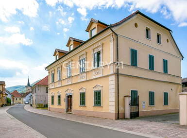 Poslovni prostor / Lokal, Kostanjevica na Krki, prodaja, 708m2, 790000EUR, id873