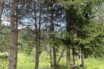 Zemljišče, Bled, prodaja, 26m2, 273126EUR, id900