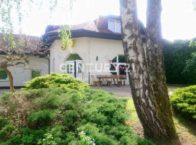 Poslovni prostor / Lokal, Brežice, oddaja, 251m2, 800EUR, id957