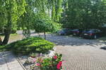 Poslovni prostor / Lokal, Brežice, oddaja, 251m2, 800EUR, id957