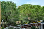 3-sobno stanovanje, Izola, prodaja, 72m2, 309000EUR, id970