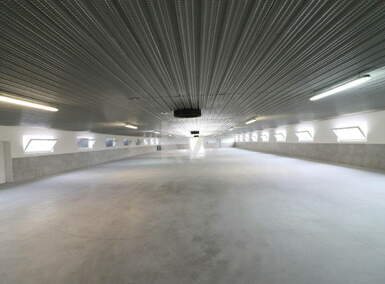 Poslovni prostor / Lokal, Ptuj, izdavanje, 736m2, 3000e, id100
