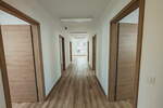 Poslovni prostor / Lokal, Maribor, oddaja, 523m2, 11EUR, id1048