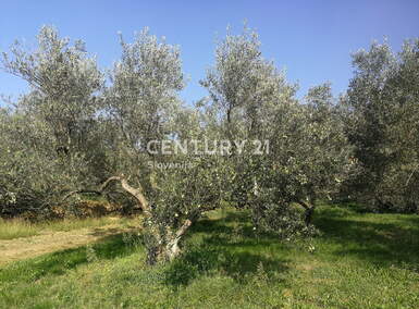 Zemljišče, Koper, prodaja, 1m2, 29EUR, id1075