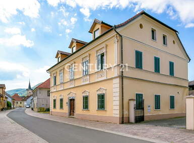 Poslovni prostor / Lokal, Kostanjevica na Krki, prodaja, 708m2, 790000EUR, id1081