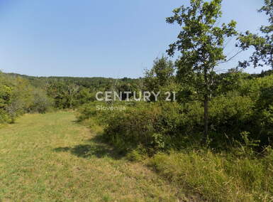 Zemljišče, Koper, prodaja, 1m2, 13500EUR, id1154